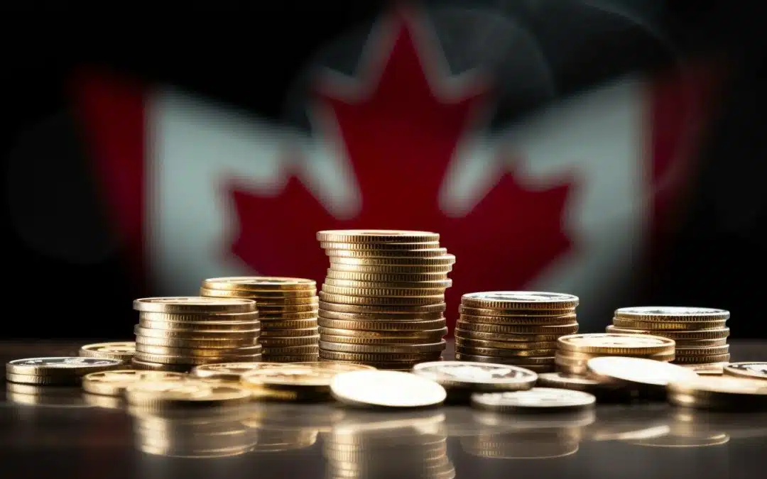 What is a Money Service Business license in Canada?