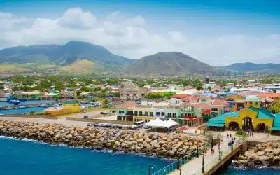 Nevis Company Formation: Expert Guide to Set Up Business