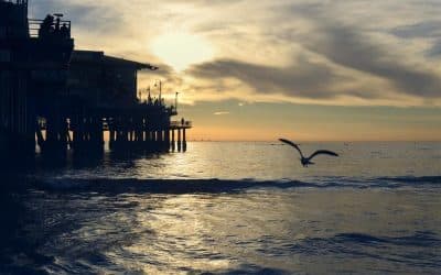 Incorporate Offshore in Nevis: Zero Taxes, Maximum Privacy, Global Flexibility