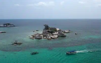 Benefits of Registering an Offshore Company in the Marshall Islands for International Growth